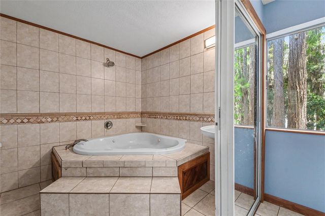 17305 SHERMAN ROAD, Lutz, FL 33558
