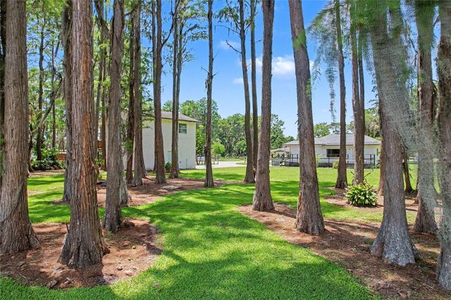 17305 SHERMAN ROAD, Lutz, FL 33558