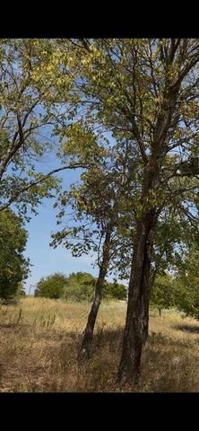 103234 Hillside Circle, Lone Oak, TX 75453