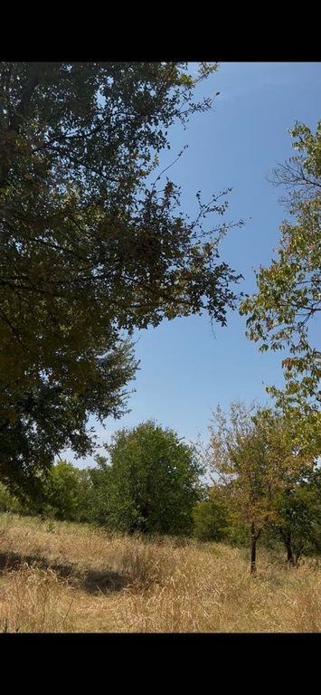 103234 Hillside Circle, Lone Oak, TX 75453