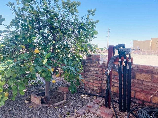 30315 Mountain View Ave, Wellton, AZ 85356