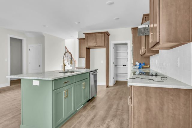 229 Birnam Wood Trce, Clarksville, TN 37043