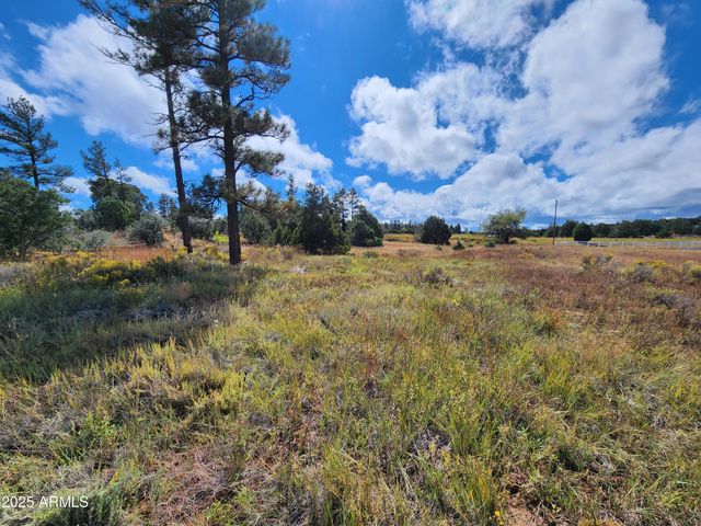 6662 STATE ROUTE 260 -- -, Show Low, AZ 85901