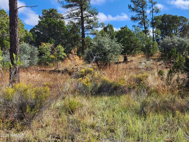 6662 STATE ROUTE 260 -- -, Show Low, AZ 85901