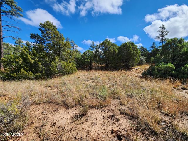 6662 STATE ROUTE 260 -- -, Show Low, AZ 85901