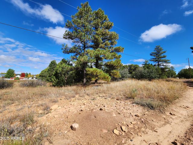 6662 STATE ROUTE 260 -- -, Show Low, AZ 85901