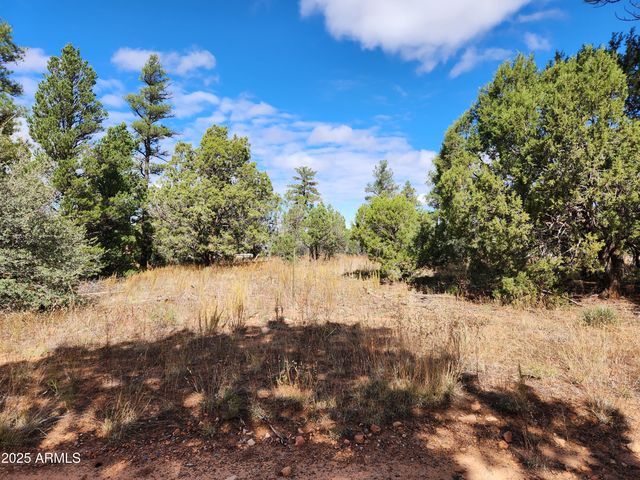 6662 STATE ROUTE 260 -- -, Show Low, AZ 85901