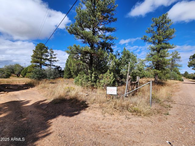 6662 STATE ROUTE 260 -- -, Show Low, AZ 85901