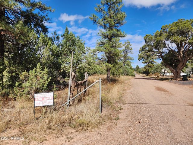 6662 STATE ROUTE 260 -- -, Show Low, AZ 85901