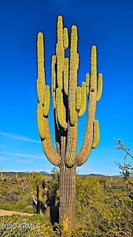 142X4 E MONTELLO Road -, Scottsdale, AZ 85262