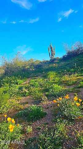 142X4 E MONTELLO Road -, Scottsdale, AZ 85262