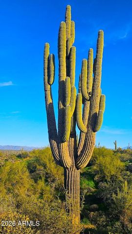 142X4 E MONTELLO Road -, Scottsdale, AZ 85262