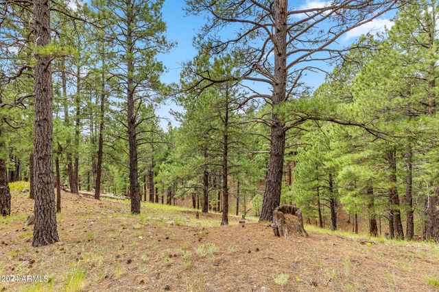 3038 DAWA OVI --, Flagstaff, AZ 86005