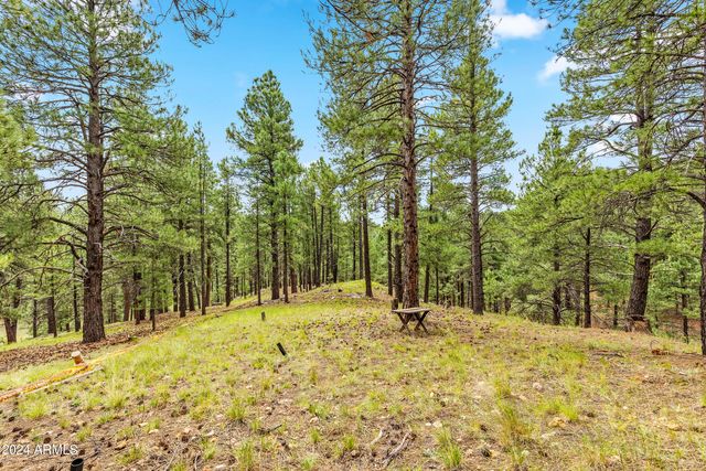 3038 DAWA OVI --, Flagstaff, AZ 86005