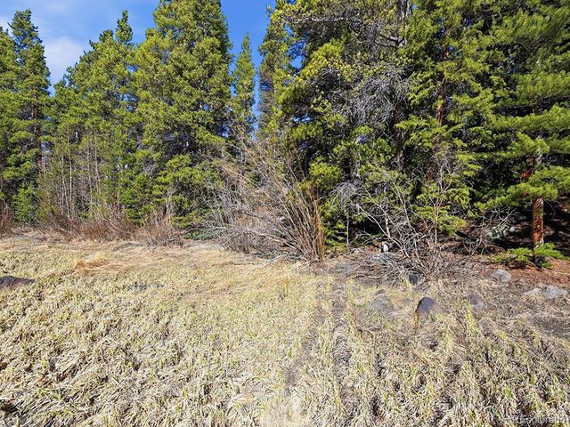 Lot 36 Overlook Court, Idaho Springs, CO 80452