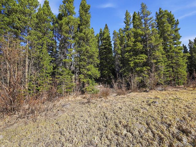 Lot 36 Overlook Court, Idaho Springs, CO 80452
