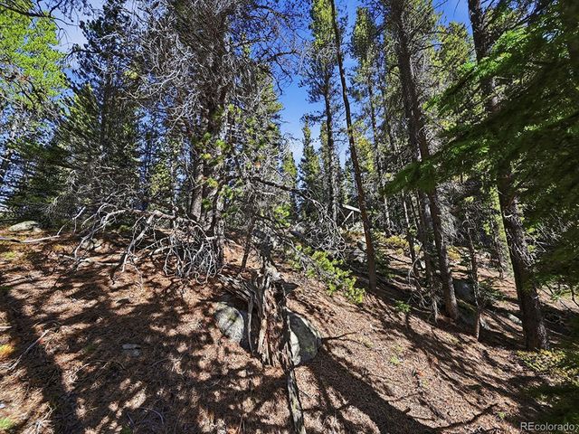 Lot 36 Overlook Court, Idaho Springs, CO 80452