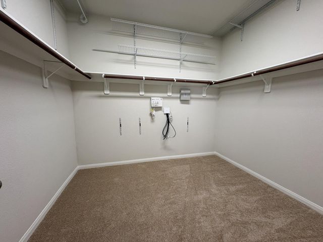 20115 Bellflower Glen Drive, Richmond, TX 77407