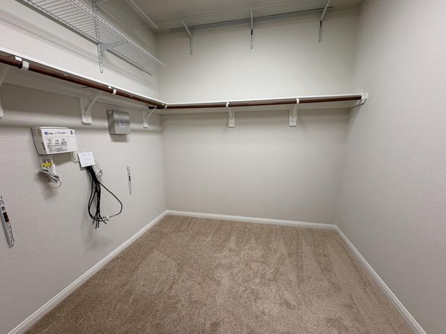20115 Bellflower Glen Drive, Richmond, TX 77407