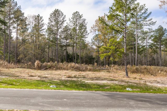 158 Beagle Chase Drive, Appling, GA 30802