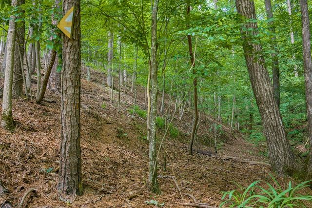 109 Edgewater Drive, Ellijay, GA 30540