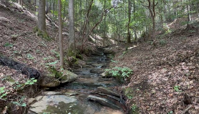 109 Edgewater Drive, Ellijay, GA 30540