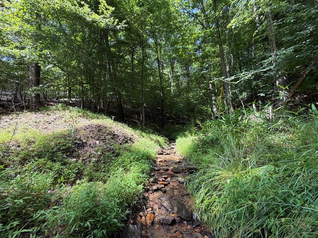 109 Edgewater Drive, Ellijay, GA 30540