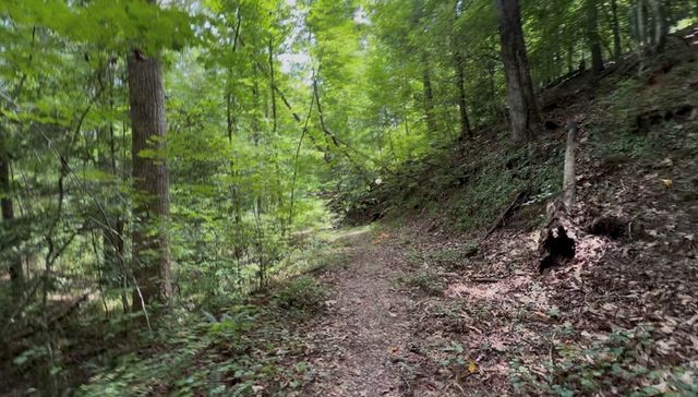 109 Edgewater Drive, Ellijay, GA 30540