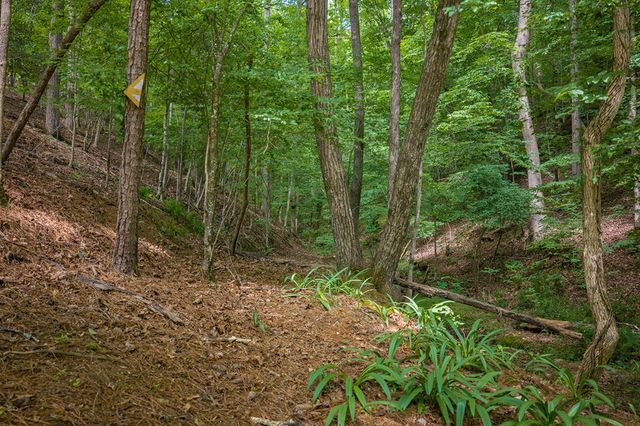109 Edgewater Drive, Ellijay, GA 30540