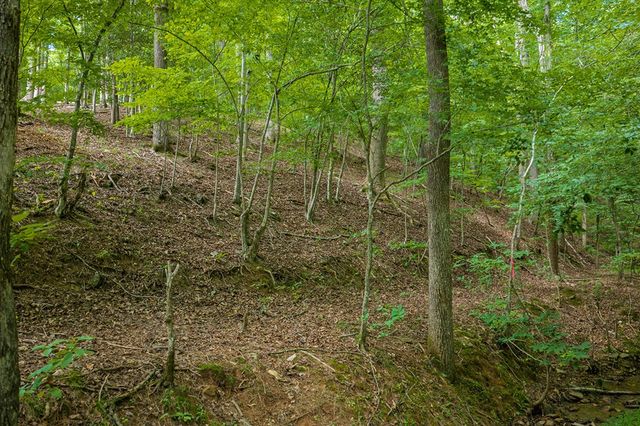 109 Edgewater Drive, Ellijay, GA 30540