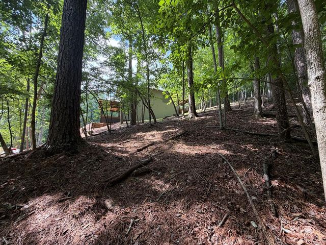 109 Edgewater Drive, Ellijay, GA 30540