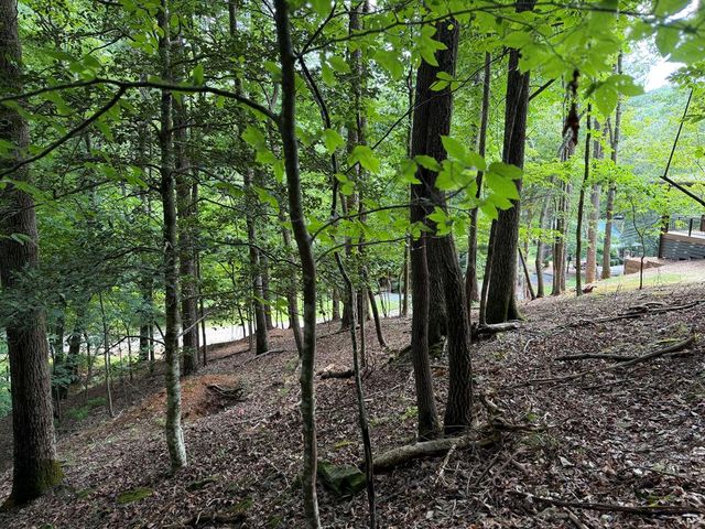 109 Edgewater Drive, Ellijay, GA 30540