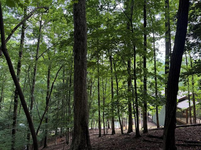 109 Edgewater Drive, Ellijay, GA 30540