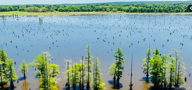 171 waterfront Cove, Conway, AR 72032