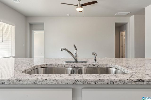 325 BUCKHORN LANE, Lincoln, AL 35096