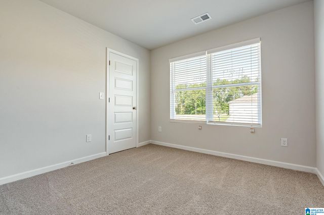 325 BUCKHORN LANE, Lincoln, AL 35096