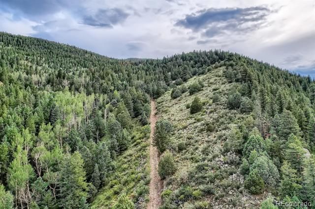 Lots 1 & 2 Harvest Moon Trail, Dumont, CO 80436