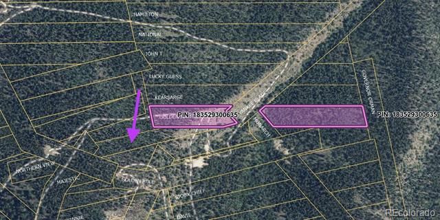 Lots 1 & 2 Harvest Moon Trail, Dumont, CO 80436