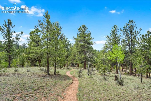 605 Obsidian Drive, Florissant, CO 80816