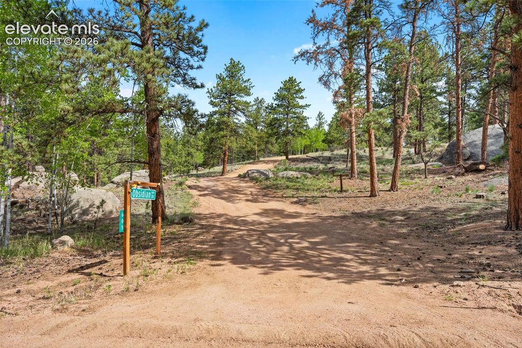 605 Obsidian Drive, Florissant, CO 80816 — photo 4