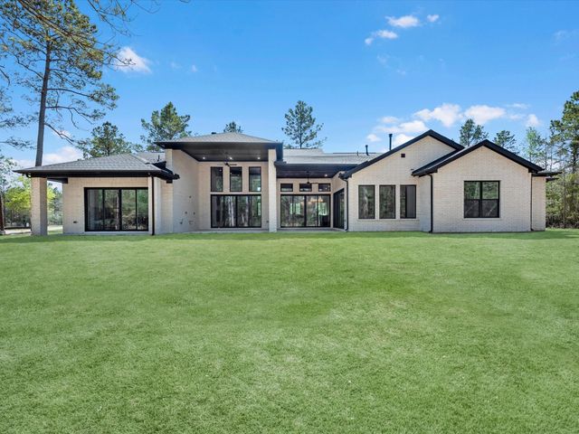25096 Seguin Trail, Montgomery, TX 77316
