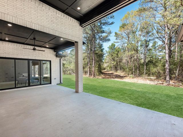 25096 Seguin Trail, Montgomery, TX 77316