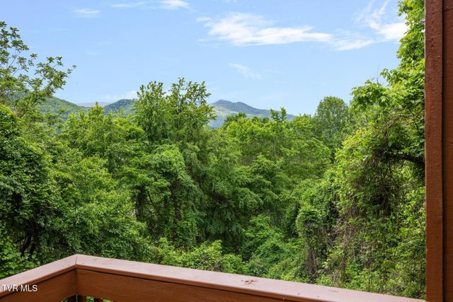 143 Horton Ridge Road, Erwin, TN 37650