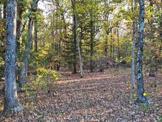 Tract 4 State Highway 174, Marionville, MO 65705
