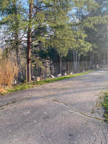 11598 Red Lick Road, Irvine, KY 40336