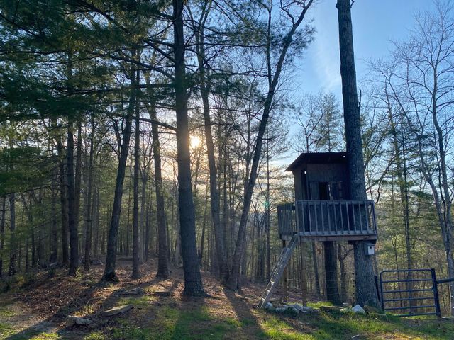 11598 Red Lick Road, Irvine, KY 40336