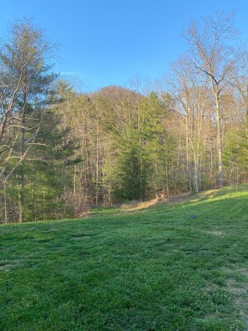 11598 Red Lick Road, Irvine, KY 40336