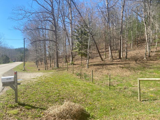 11598 Red Lick Road, Irvine, KY 40336