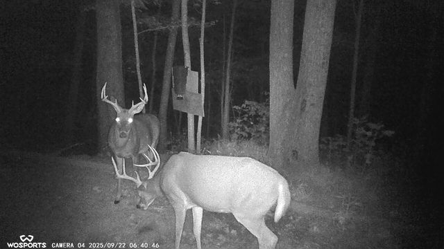 11598 Red Lick Road, Irvine, KY 40336