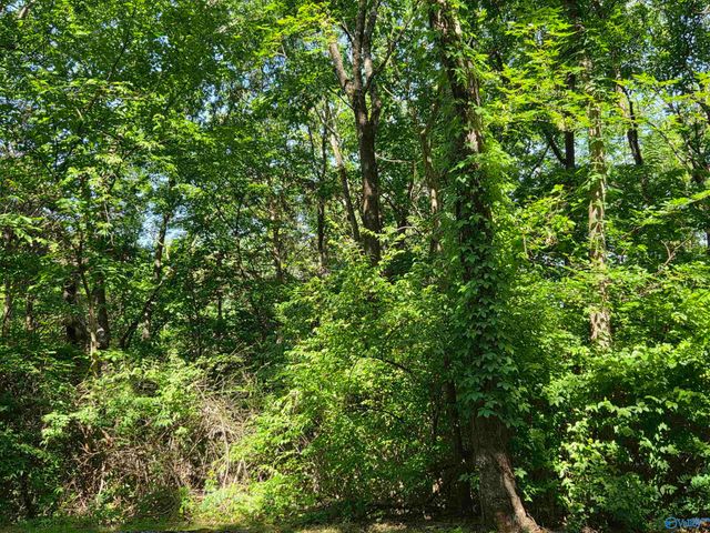 Lot 2 Pikes Peak Drive, Huntsville, AL 35803